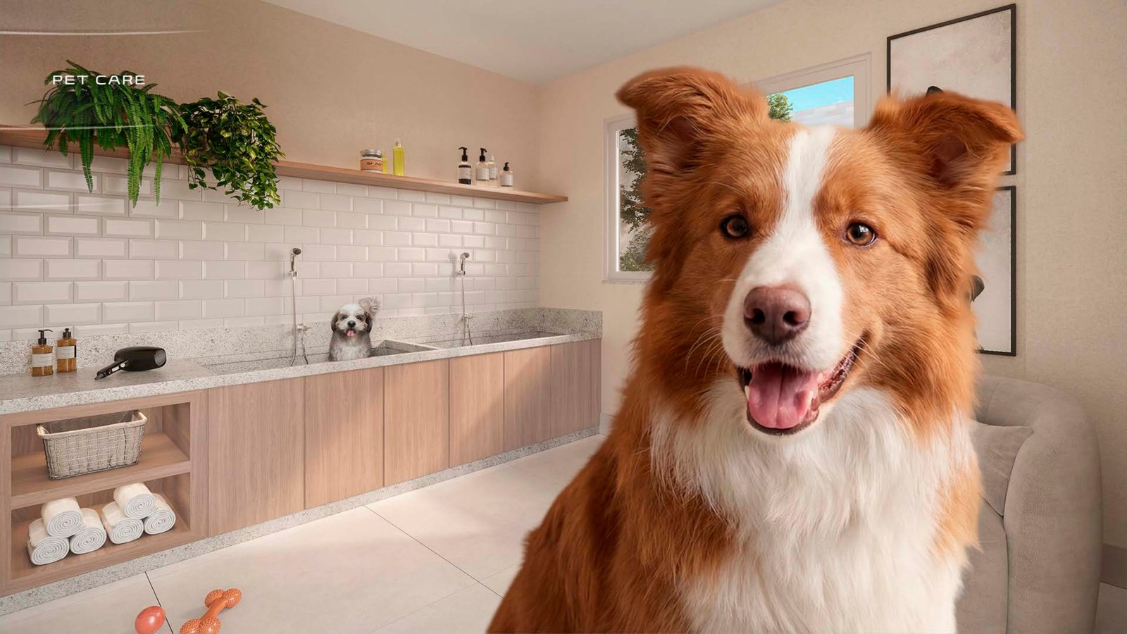 Pet Care